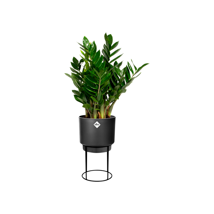 b.for studio round 22cm living black